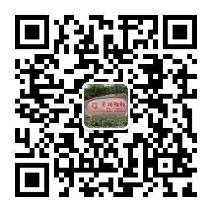 首页 - PG电子官方网站