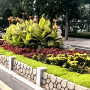 无机仿真石花箱：以永恒之名，塑未来之境