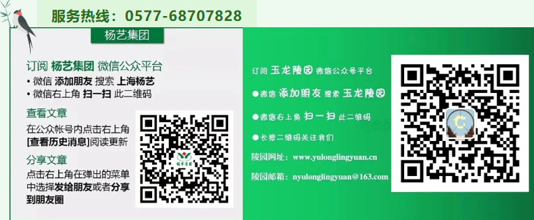 首页 - PG电子官方网站