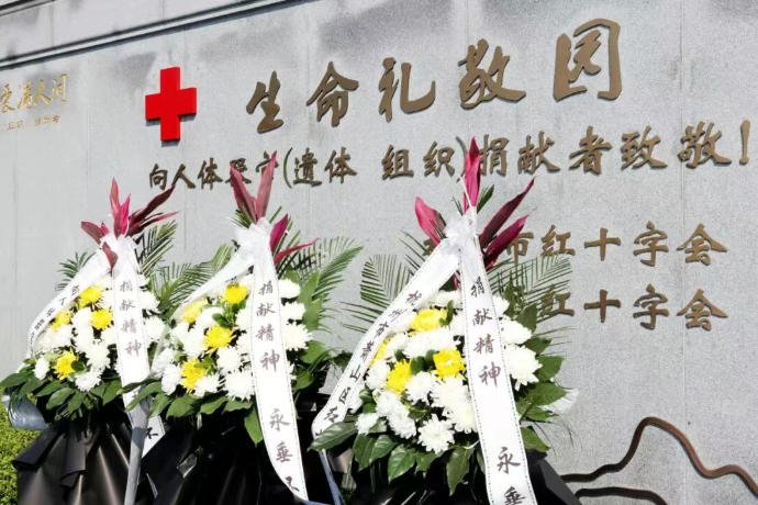 首页 - PG电子官方网站