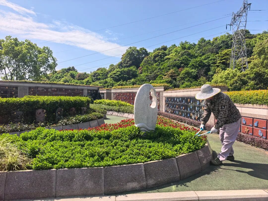 首页 - PG电子官方网站