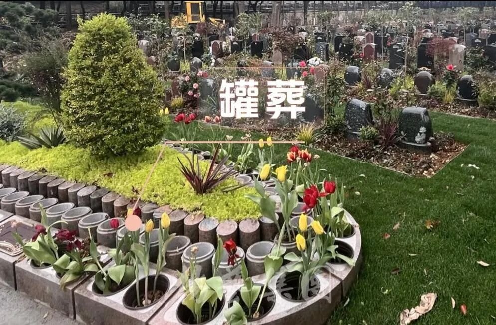 首页 - PG电子官方网站